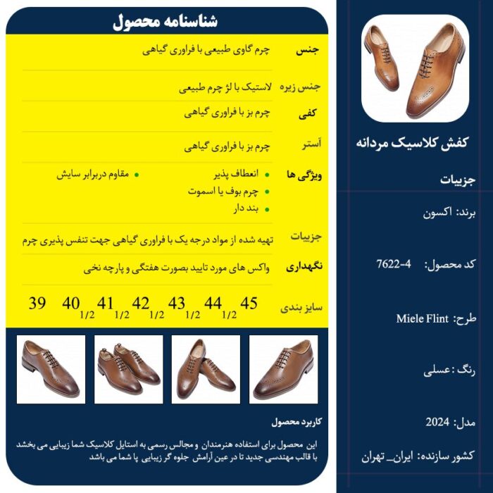 کفش چرم کلاسیک میئل فلینت - Image 11