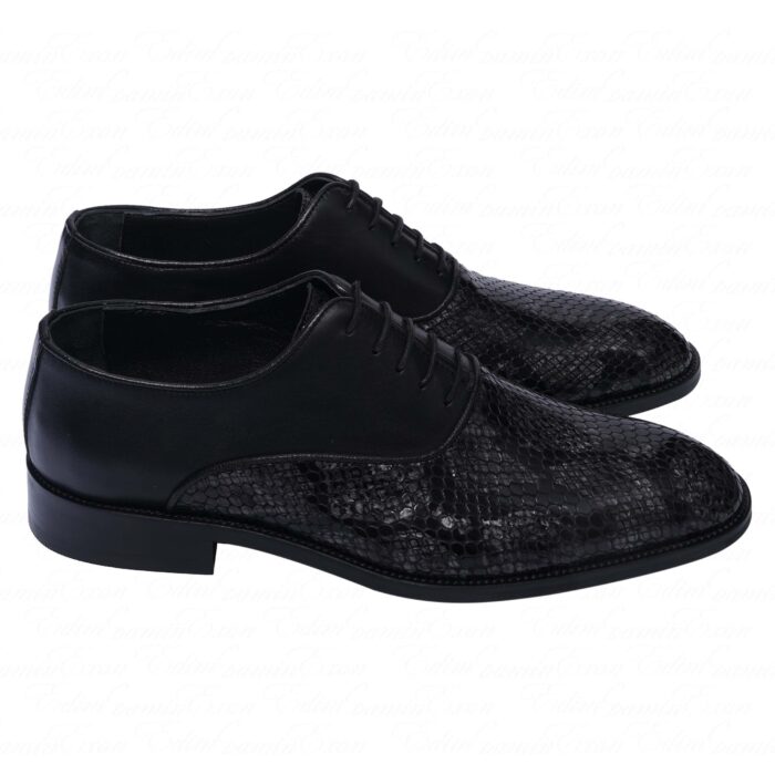 کفش چرم کلاسیک گراناتو آلماندینو 2 - Image 3