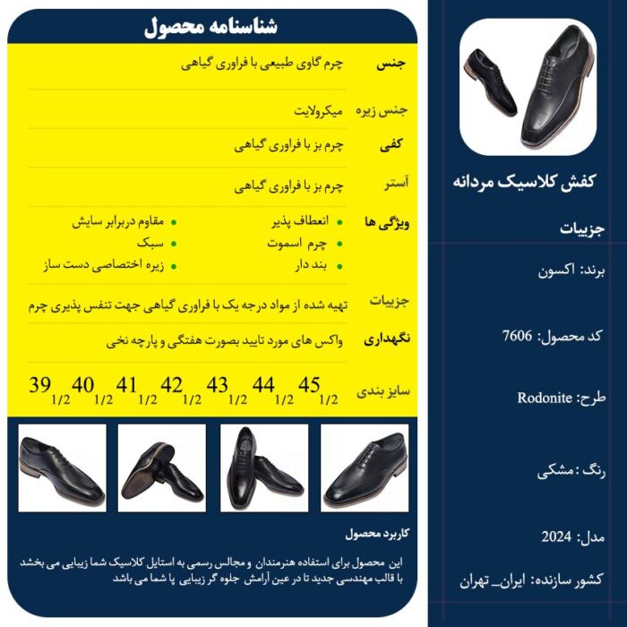 کفش چرم کلاسیک رودونیت - Image 9