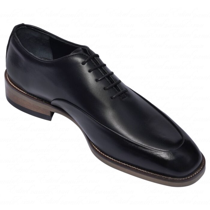 کفش چرم کلاسیک رودونیت - Image 7